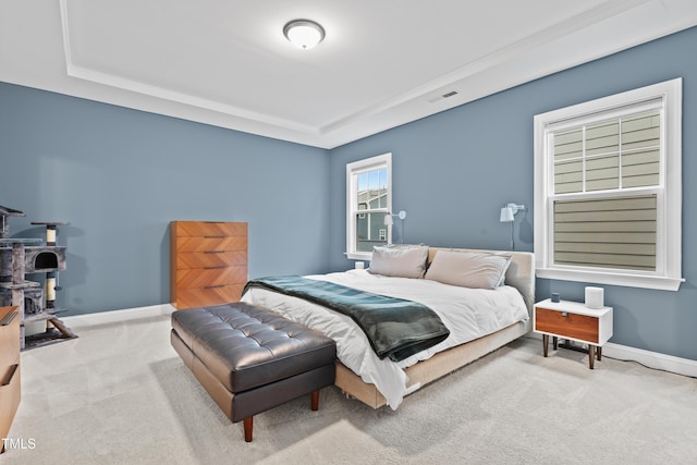 carpeted bedroom featuring a raised ceiling