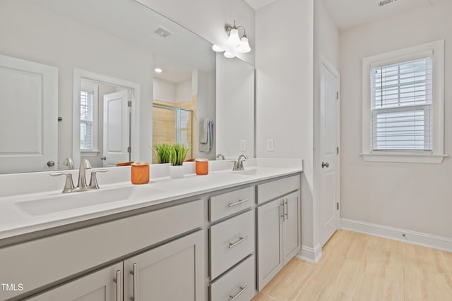 bathroom with vanity and walk in shower