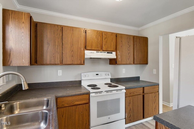 kitchen featuring ornamental molding, sink, and electric range