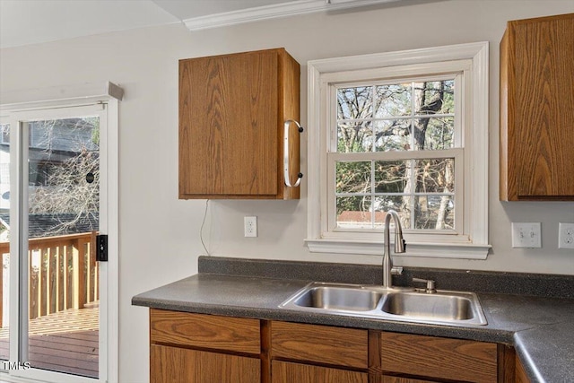 kitchen with sink, crown molding, and plenty of natural light