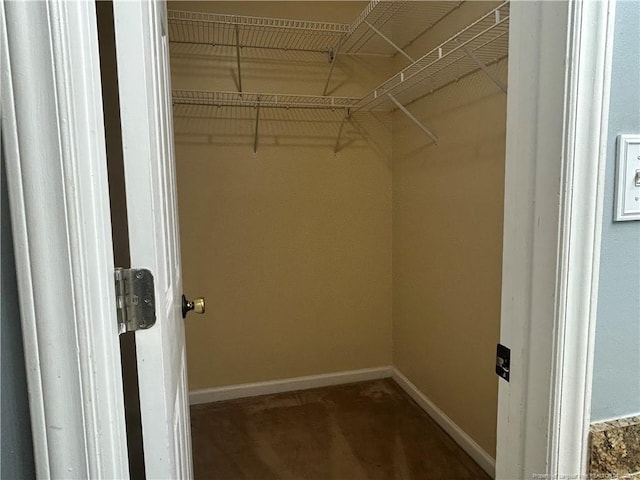 view of spacious closet