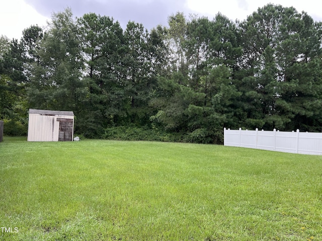 view of yard with a storage unit