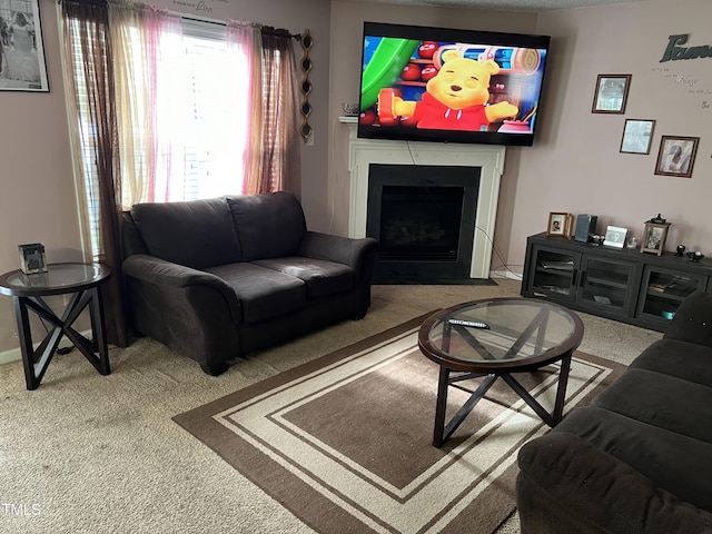 living room with carpet floors