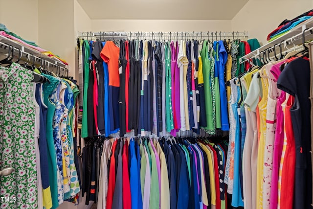 view of walk in closet