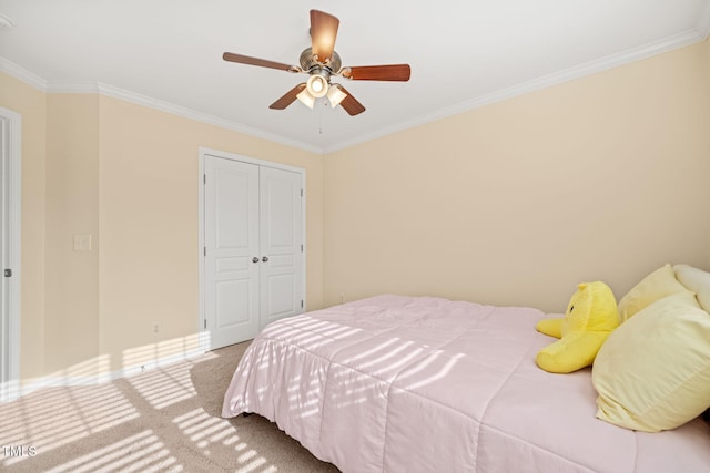 carpeted bedroom with ceiling fan, a closet, baseboards, and crown molding