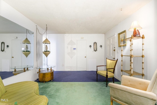 living area with carpet and a textured ceiling