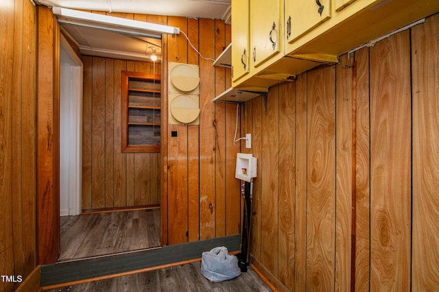 clothes washing area featuring dark wood-type flooring and wooden walls