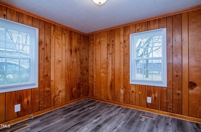 spare room featuring wooden walls, a wealth of natural light, and dark hardwood / wood-style flooring