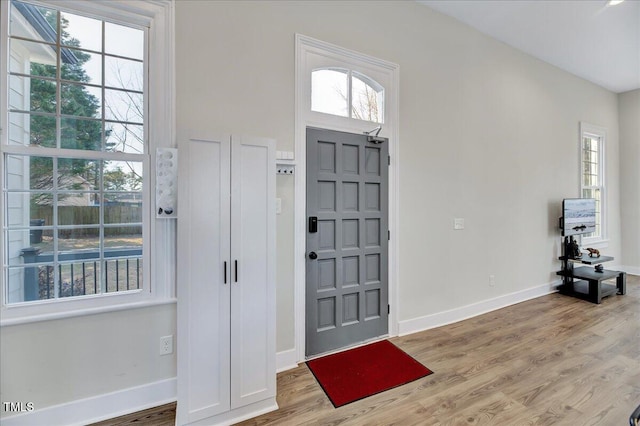 foyer featuring plenty of natural light, baseboards, and wood finished floors