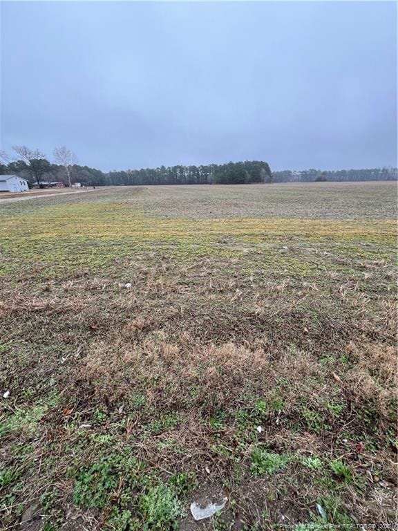 Raynham Rd, Fairmont NC, 28340 land for sale