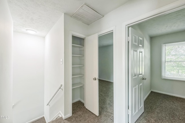 408 Cumbrian Ct, Fayetteville, NC 28314 - hall featuring carpet floors, baseboards, and a textured ceiling
