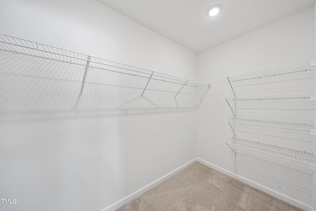 spacious closet with carpet flooring