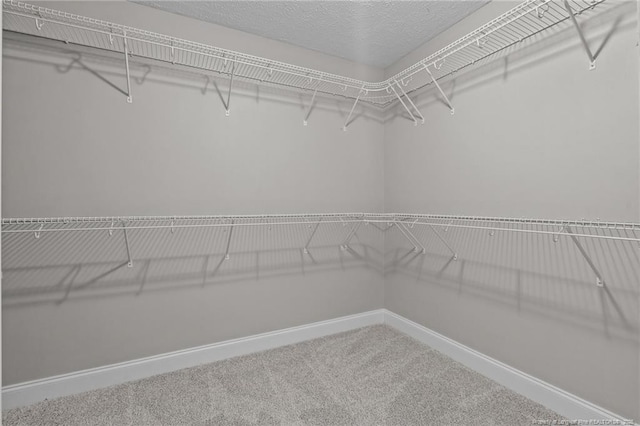 22 Beryl Cir, Pinehurst, NC 28374 - photo 25