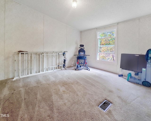 interior space featuring carpet and a textured ceiling