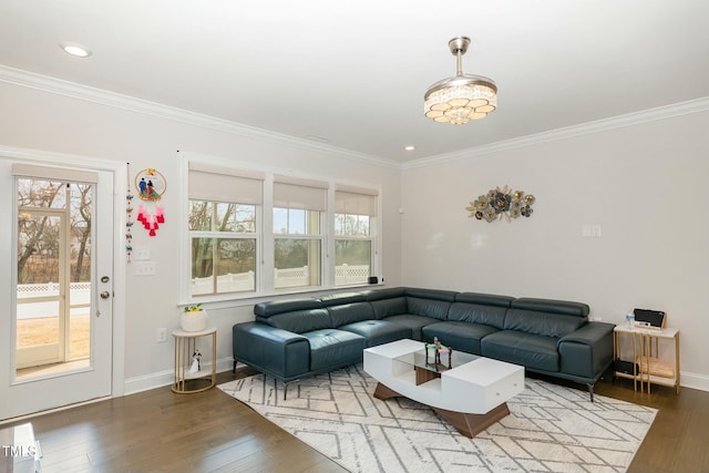 living room with crown molding and wood-type flooring