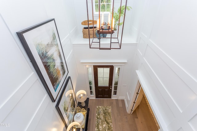 entrance foyer featuring wood-type flooring