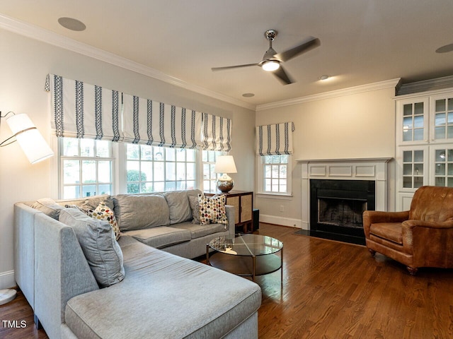 3504 Rock Creek Dr, Raleigh, NC 27609 - living area featuring crown molding, ceiling fan, dark wood-style flooring, and a fireplace with flush hearth