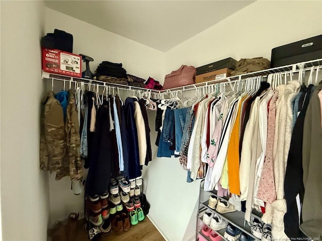 spacious closet with wood-type flooring