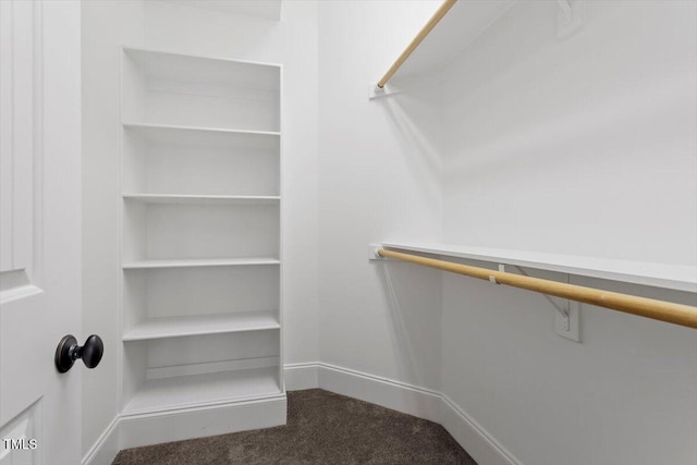 walk in closet featuring carpet