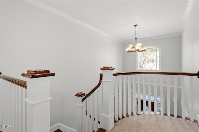 stairway featuring a chandelier, carpet, and crown molding