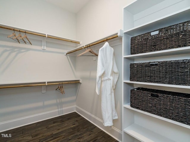 spacious closet featuring dark wood-style floors