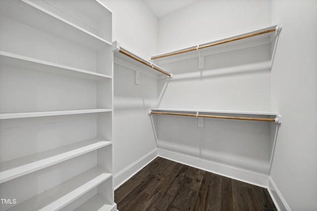 walk in closet featuring dark wood-style floors