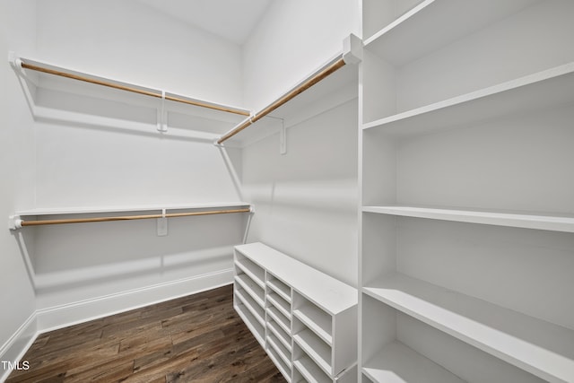 walk in closet with dark wood-style floors