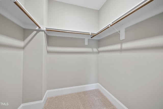 walk in closet with carpet