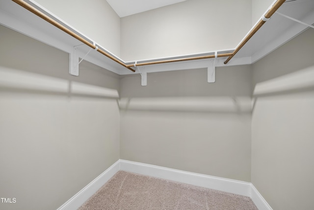 spacious closet featuring carpet floors