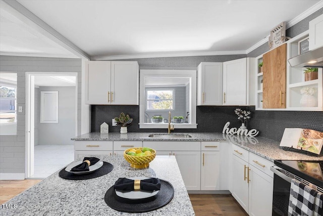 kitchen with sink, white cabinets, decorative backsplash, hardwood / wood-style flooring, and light stone counters