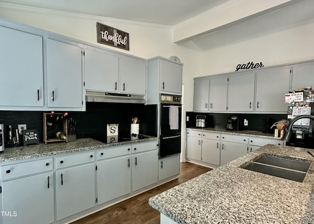 kitchen with light stone counters, sink, decorative backsplash, and crown molding