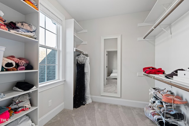 spacious closet with carpet