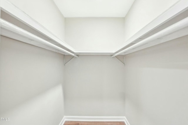 walk in closet featuring wood finished floors