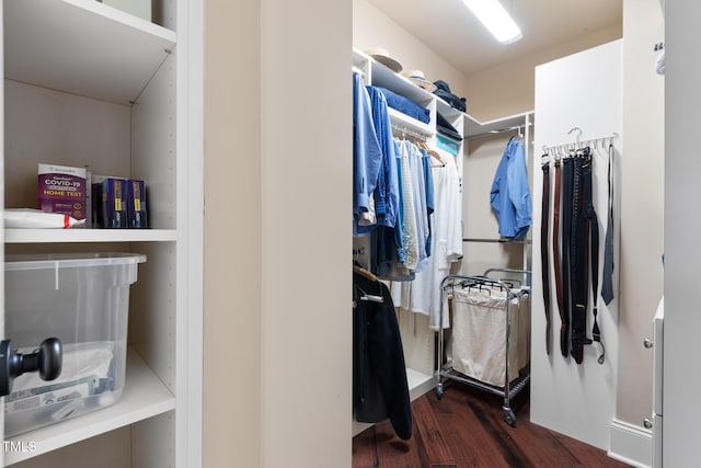 spacious closet featuring dark hardwood / wood-style floors