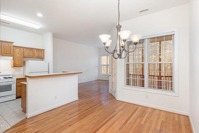 unfurnished dining area with a chandelier and light wood-type flooring