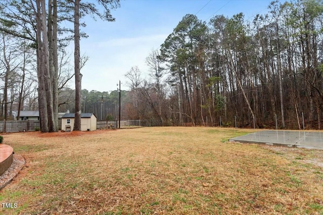 view of yard with a storage shed