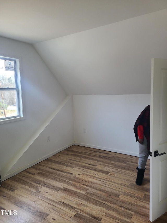 bonus room featuring lofted ceiling and wood-type flooring