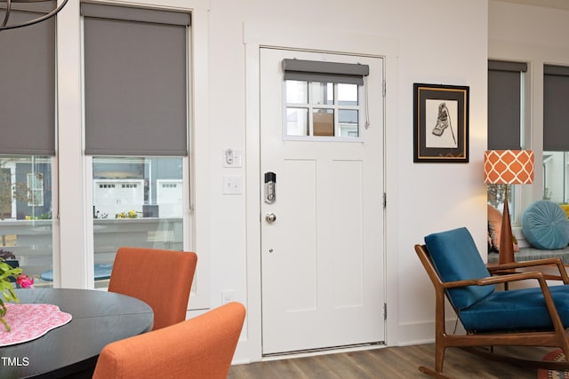 entrance foyer featuring hardwood / wood-style floors