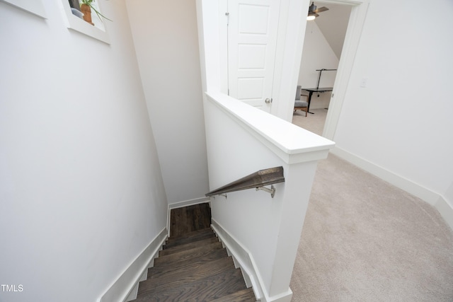 stairway with carpet floors