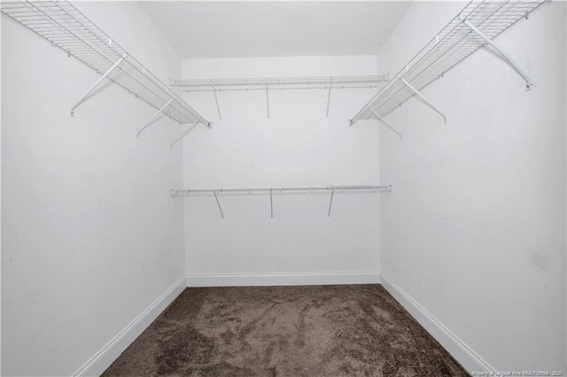 spacious closet with carpet flooring