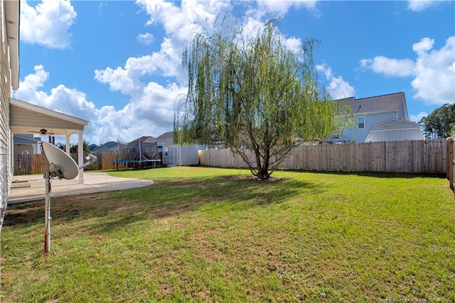 view of yard featuring a trampoline, a patio area, and a storage unit