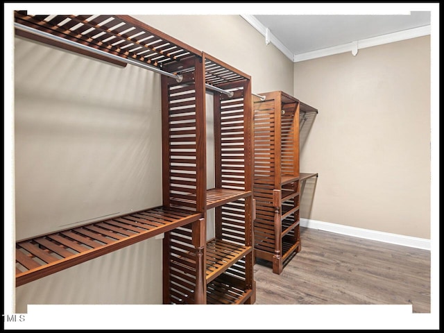 spacious closet featuring wood finished floors