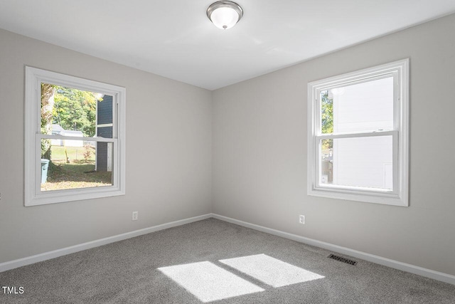 empty room featuring carpet floors and plenty of natural light