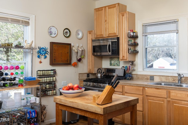 kitchen with appliances with stainless steel finishes, sink, light brown cabinets, and a wealth of natural light