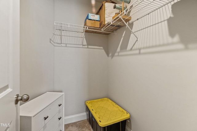spacious closet featuring carpet