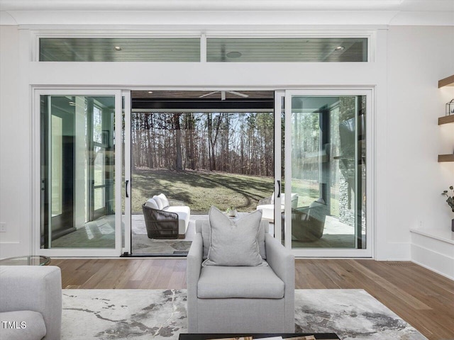 entryway with wood finished floors and a wealth of natural light