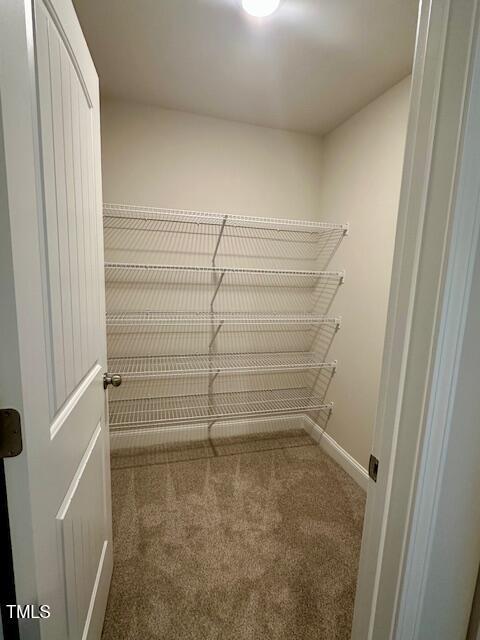 349 Shadow Falls Dr, Wendell, NC 27591 - walk in closet with carpet floors
