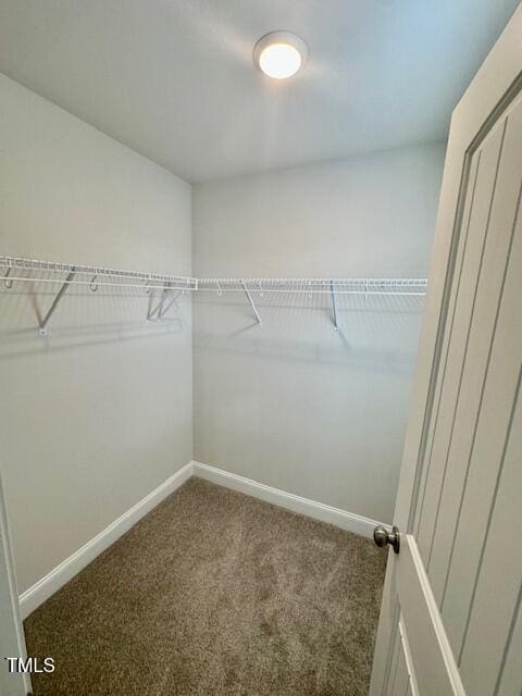 349 Shadow Falls Dr, Wendell, NC 27591 - spacious closet featuring carpet floors