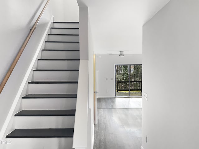 stairway with ceiling fan and hardwood / wood-style floors