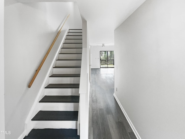 staircase with wood-type flooring